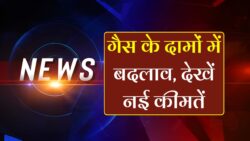LPG Gas Price News: आज से नई दरें लागू, 14.2 KG सिलेंडर की कीमतों में बदलाव
